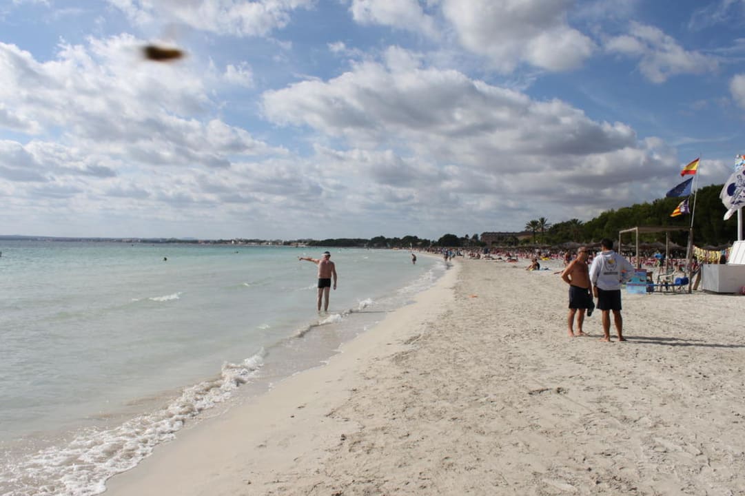 Der Strand von Alcudia Mallorca BQ Delfin Azul Hotel