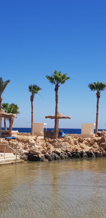 Strand Pickalbatros Citadel Resort