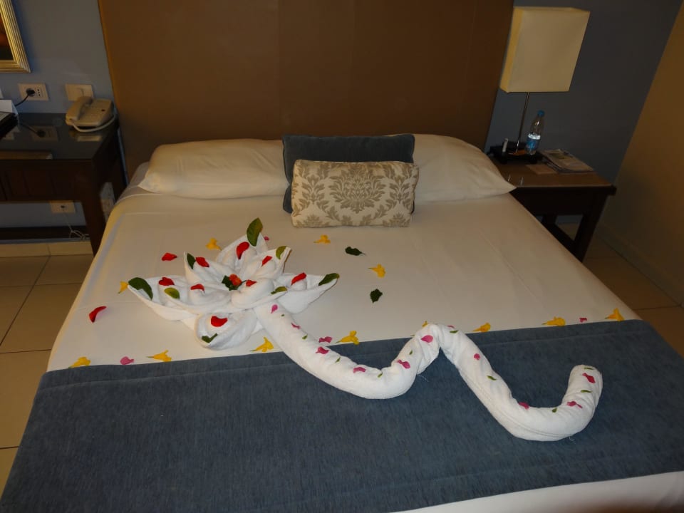 Jeden Tag etwas neues auf dem Bett JAZ Aquamarine Resort