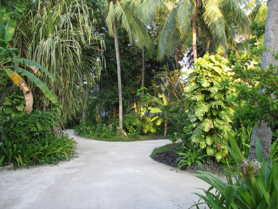 Wege durch das Resort Kuramathi Maldives