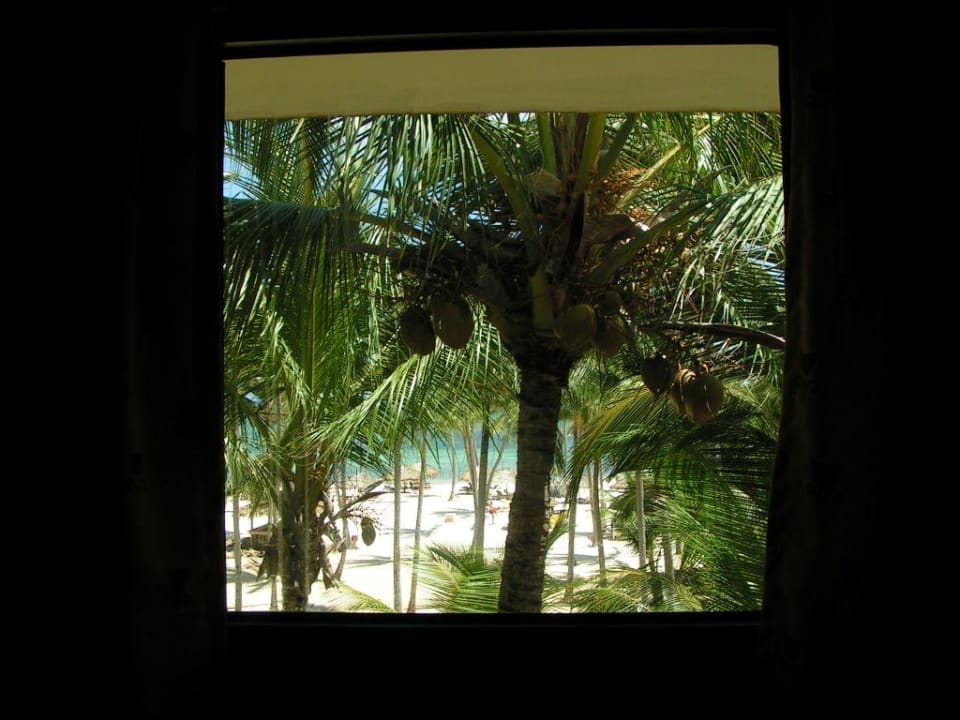 Blick aus Badezimmerfenster Catalonia Punta Cana - All Inclusive