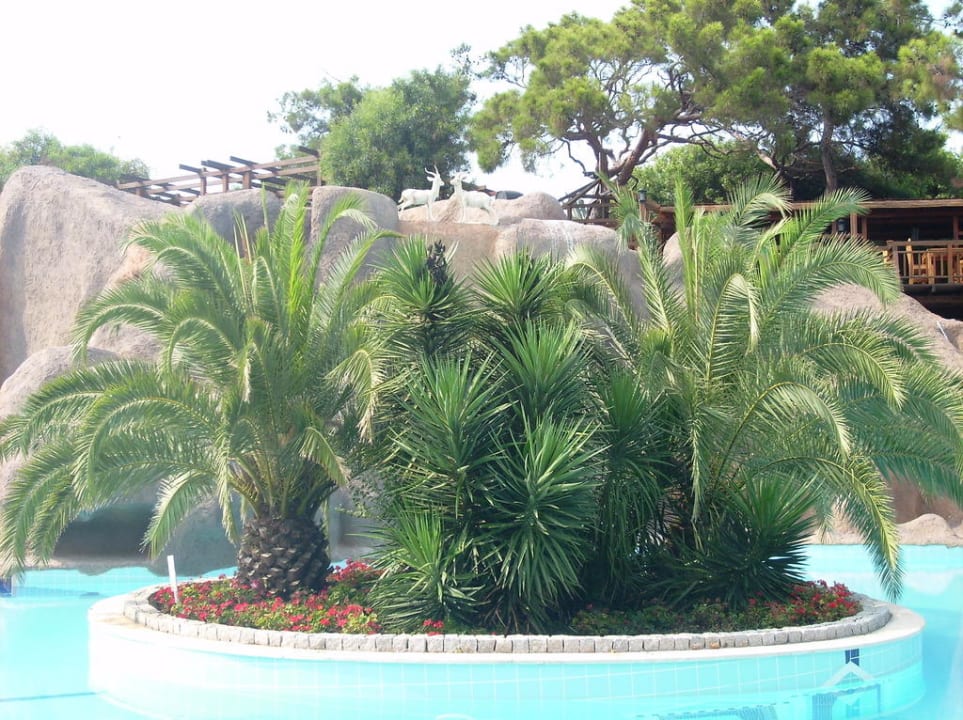 Pool mit Animation Blue Waters Club