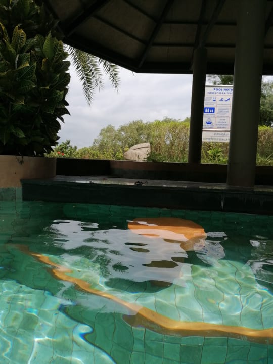 Pool Maikhao Palm Beach Resort