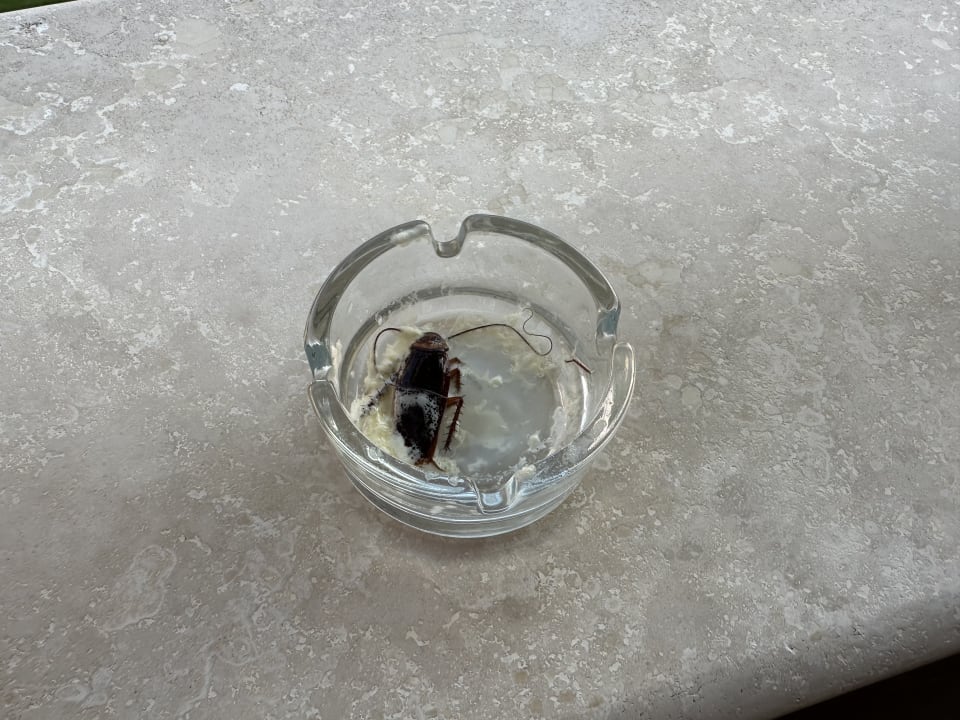 Zimmer Melas Resort Hotel