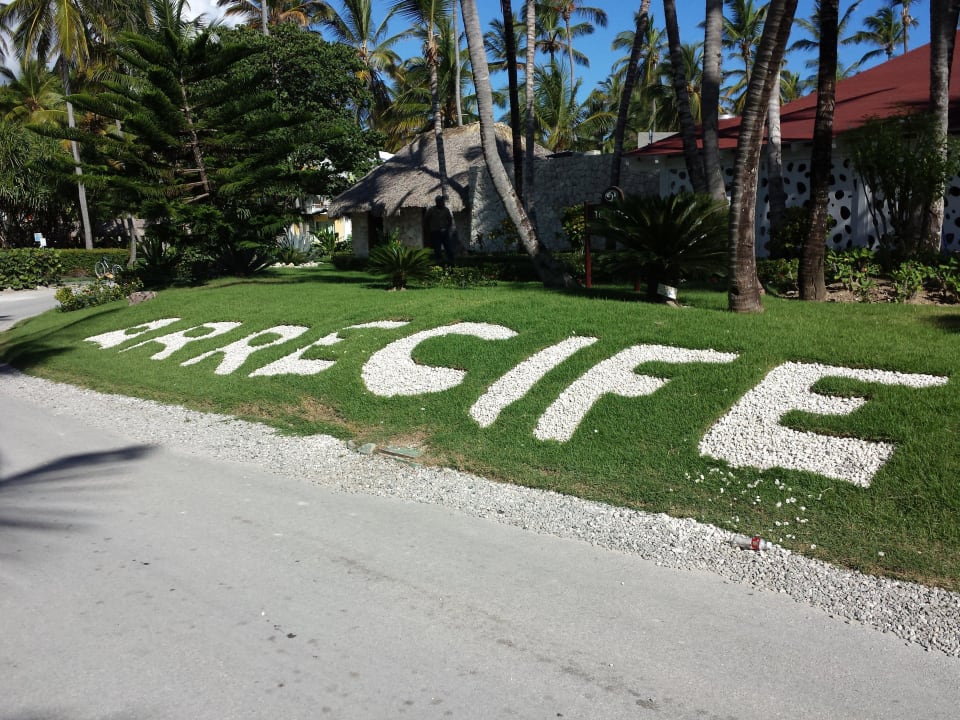 Name des Restaurants mit Kieselsteinen im Rasen Grand Palladium Select Bávaro Resort & Spa