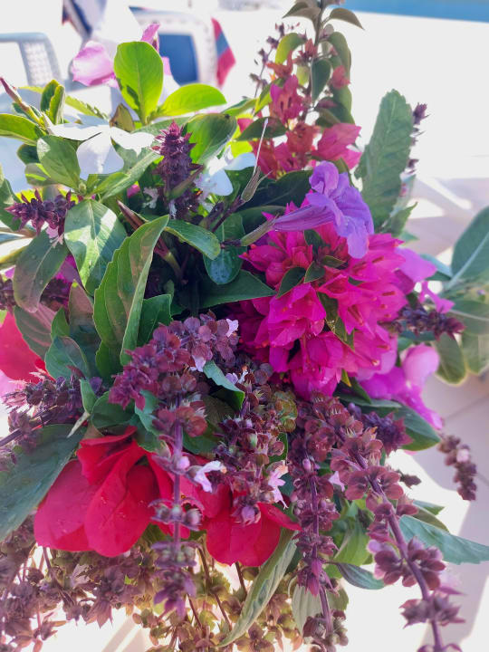 Sonstiges Cleopatra Luxury Resort Makadi Bay