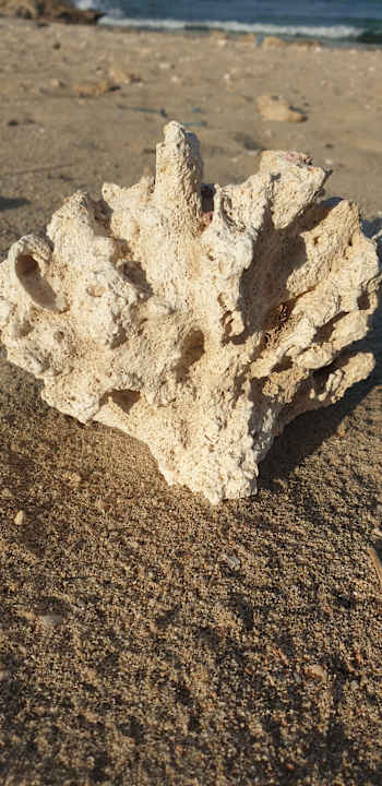 Strand Sentido Akassia Beach