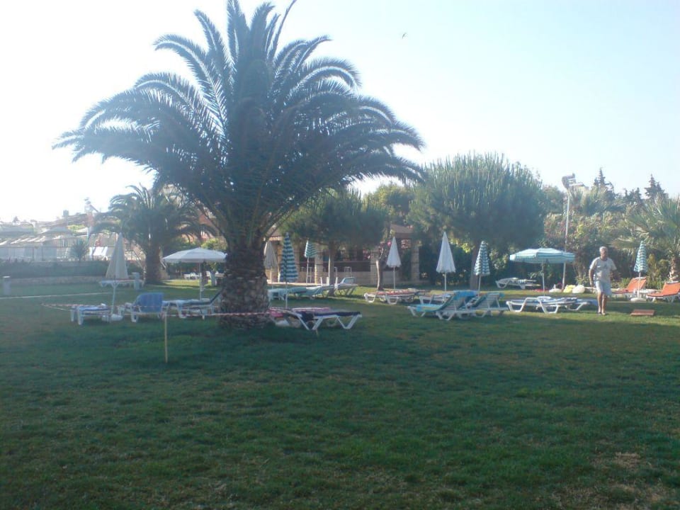 Die schöne Liegewiese des Hotels Hotel Ephesia