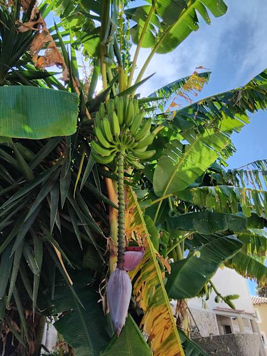 Gartenanlage Natura Park Village Hotel & Spa