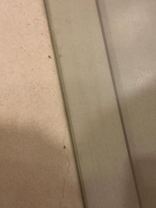 Zimmer Ephesia Holiday Beach Club