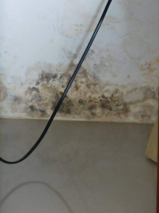 Bungalow-verschimmelt Samed Cliff Resort