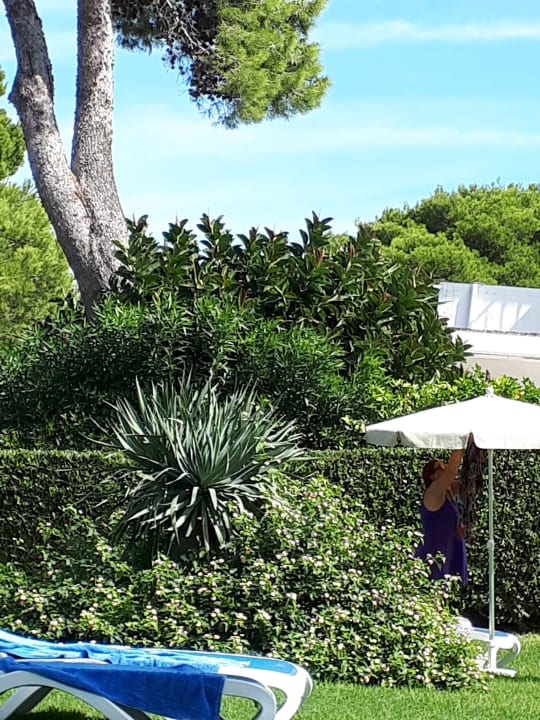 Gartenanlage Globales Cala Blanca