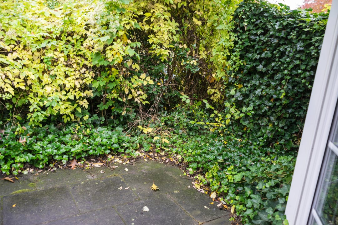 Terrasse Comfort Haus Center Parcs Park Nordseeküste