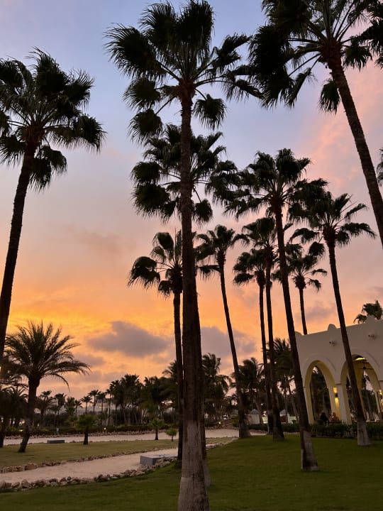 Ausblick Hotel Riu Karamboa