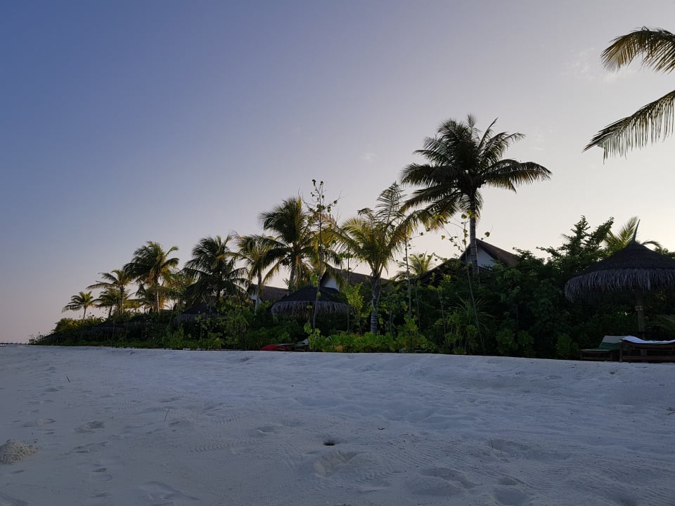Abendstimmung  OZEN LIFE MAADHOO