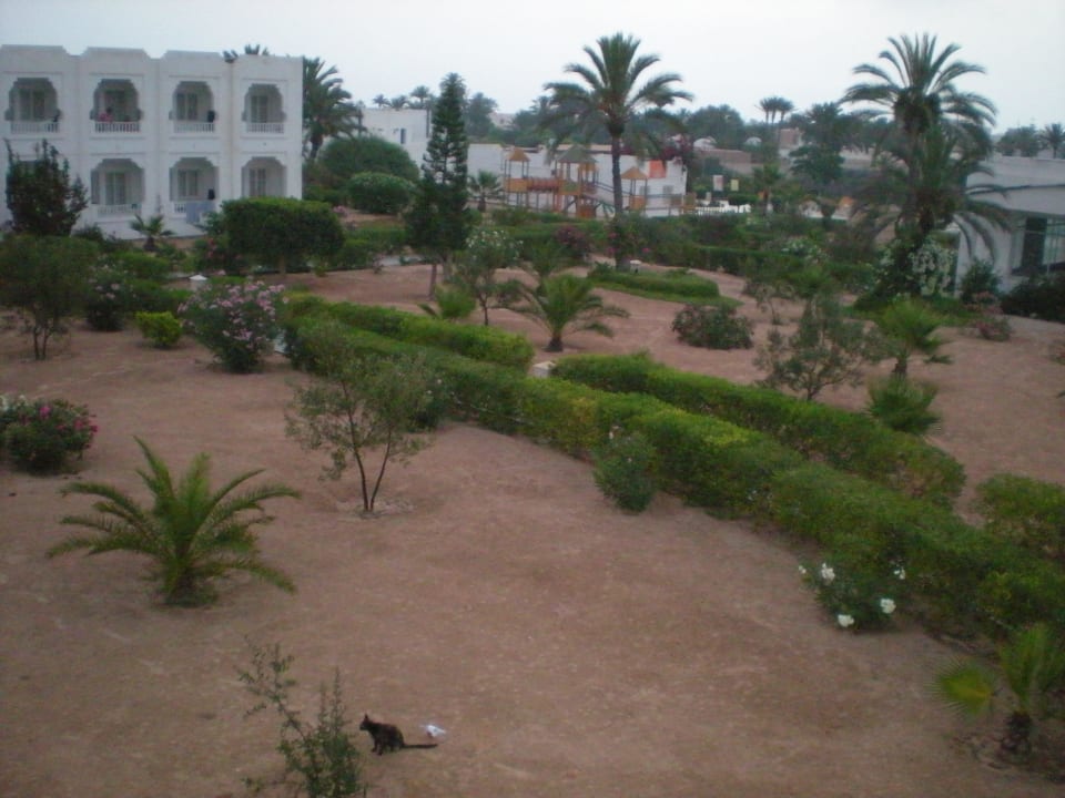 Hotel Djerba Sun Djerba Sun Beach Hotel & Spa