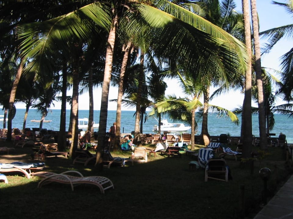 Gartenansicht Hotel Traveller's Club