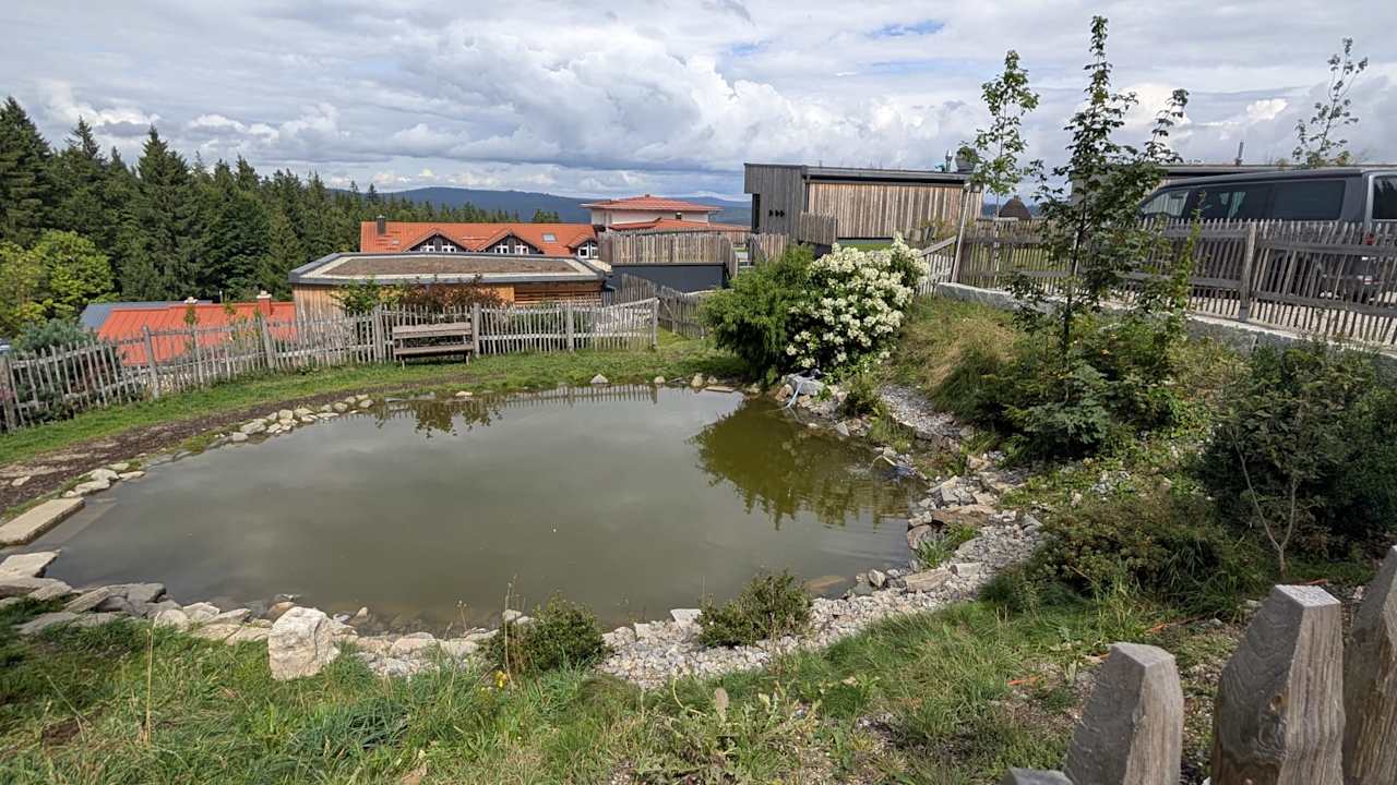 Sonstiges Hunderesort Waldeck