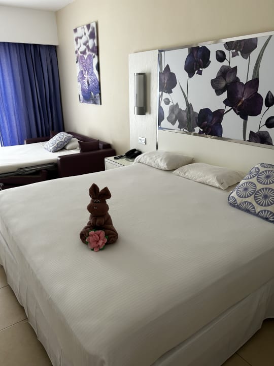 Zimmer Hotel Riu Playacar