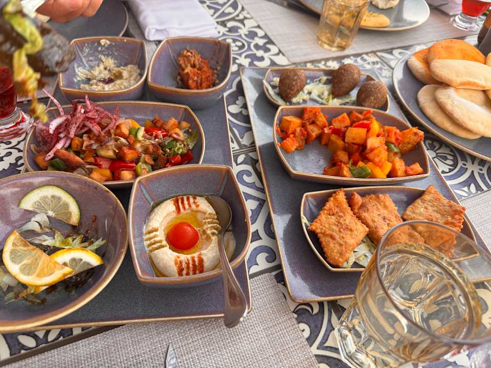 Gastro JAZ Elite Asteria