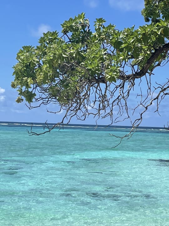 Strand Summer Island Maldives