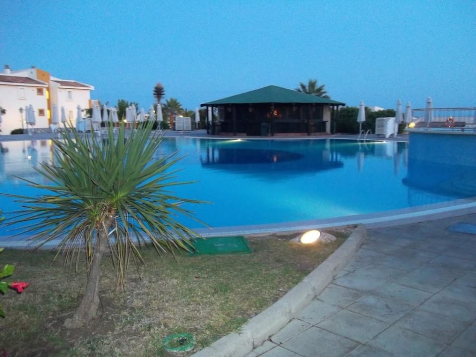 Oberer Pool blau punta reina