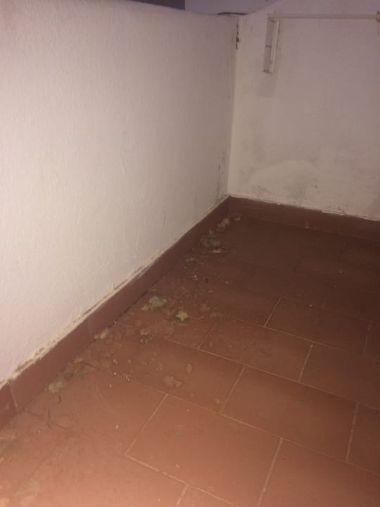 Gartenanlage Golden Club Cabanas