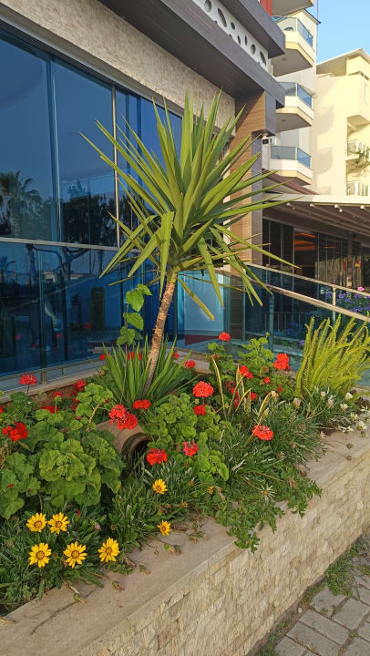 Gartenanlage Kleopatra Life Hotel