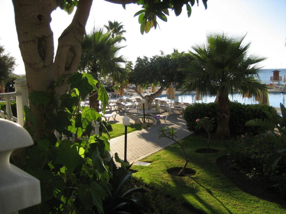 Gartenanlage Hotel Riu Nautilus - Adults only