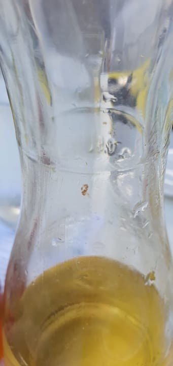 Gastro Atlantica Plimmiri