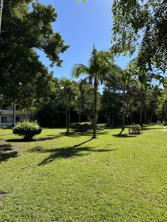 Gartenanlage Hotel Riu Tequila