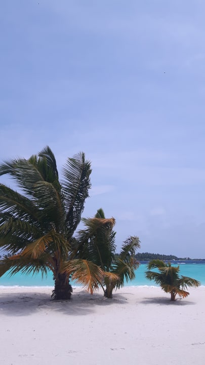 Strand Kihaa Maldives