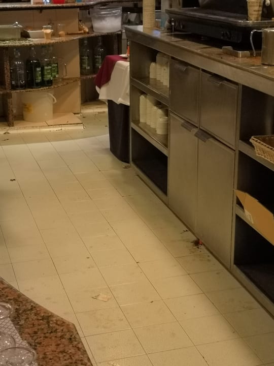 Gastro blau punta reina