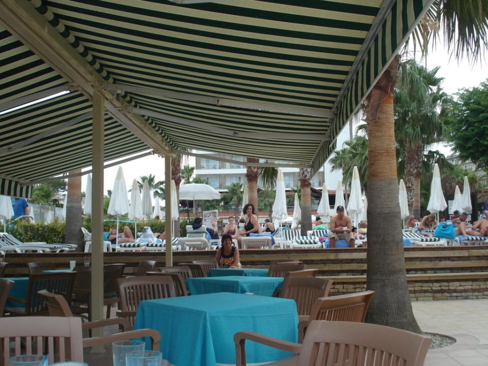Poolbar Trendy Palm Beach (Adults Only, 16+)