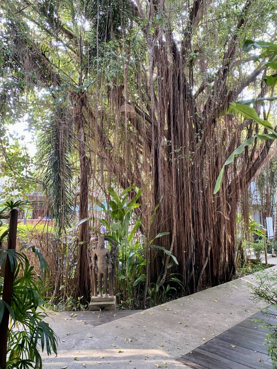 Gartenanlage Lynnaya Urban River Resort