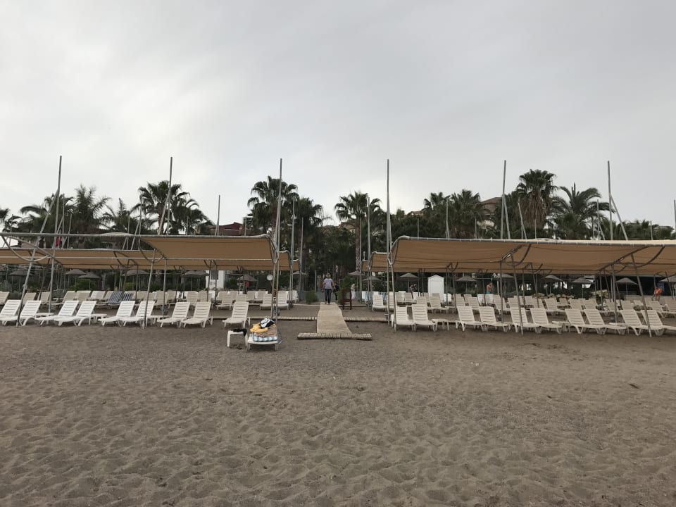 Strand Arycanda Kirman Premium