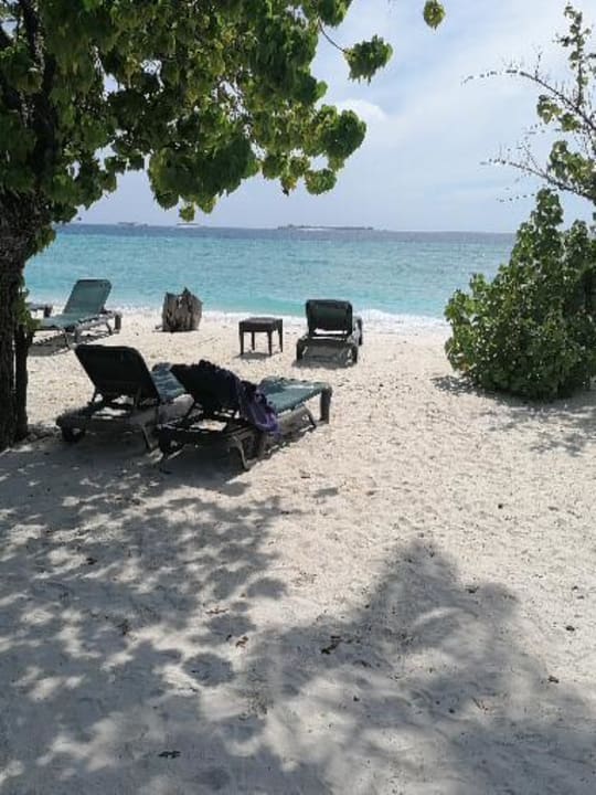 Zimmer Kuredu Island Resort & Spa