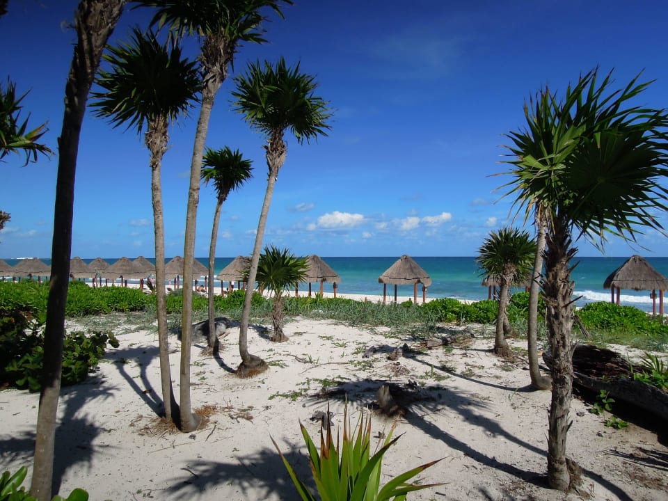 Blick aufs meer Valentin Imperial Riviera Maya - Adults only