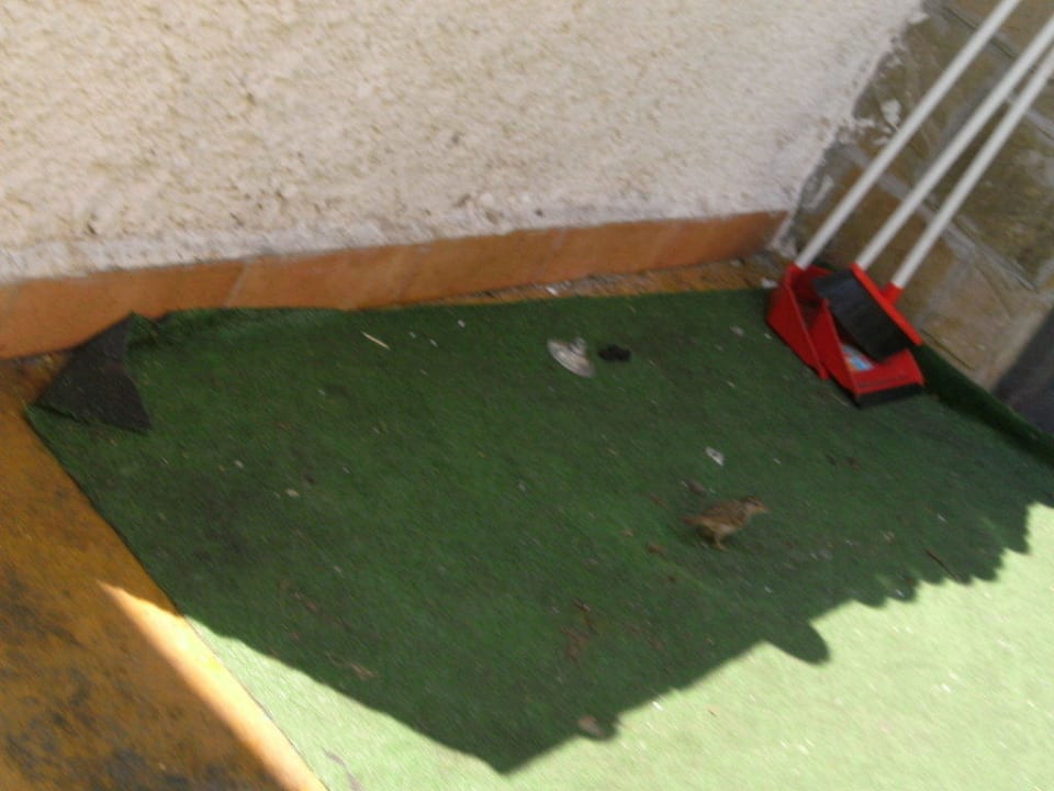 Aussenbereich Restaurant Bella Vista Beach Club