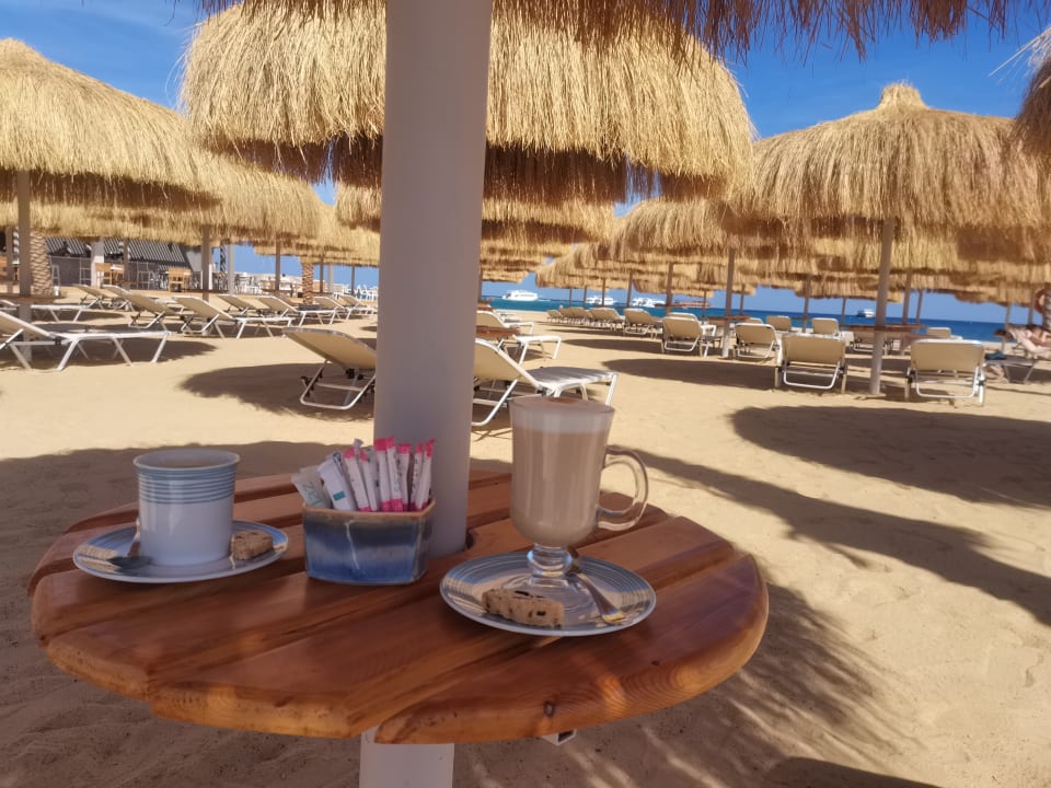 Gastro JAZ Elite Amara