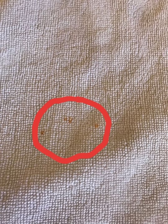 Zimmer DAS Club Hotel Sunny Beach