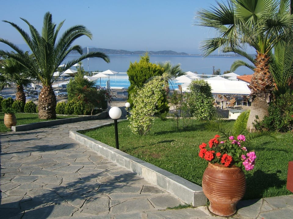 Blick auf Pool und Meer Akrathos Beach Hotel