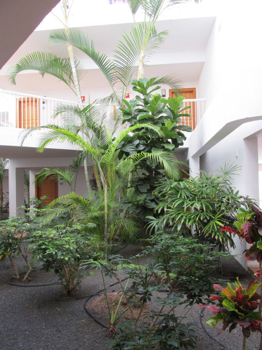 Bepflanzung in den Fluren Hotel Riu Paraiso Lanzarote