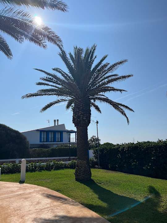 Gartenanlage Grupotel Aldea Cala'n Bosch