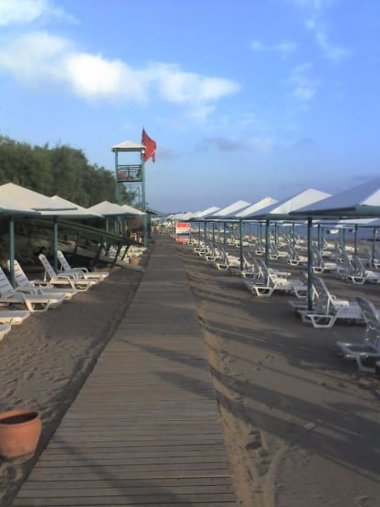 Strand PALOMA Perissia