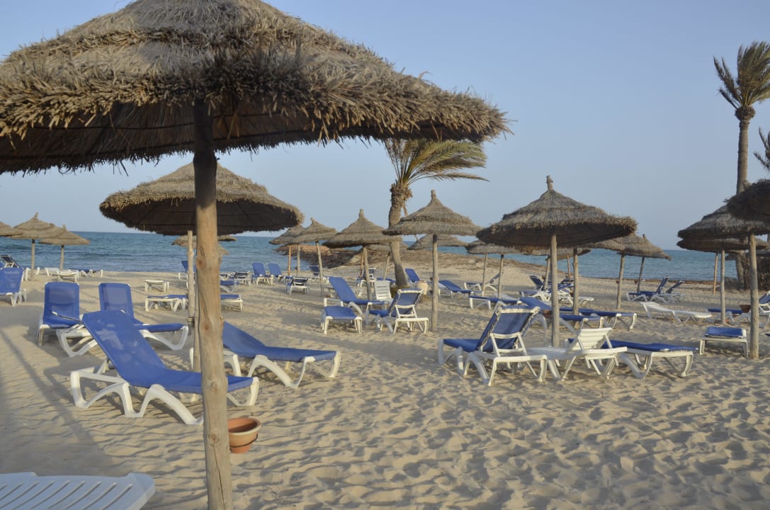 Standliegen Club Palm Azur