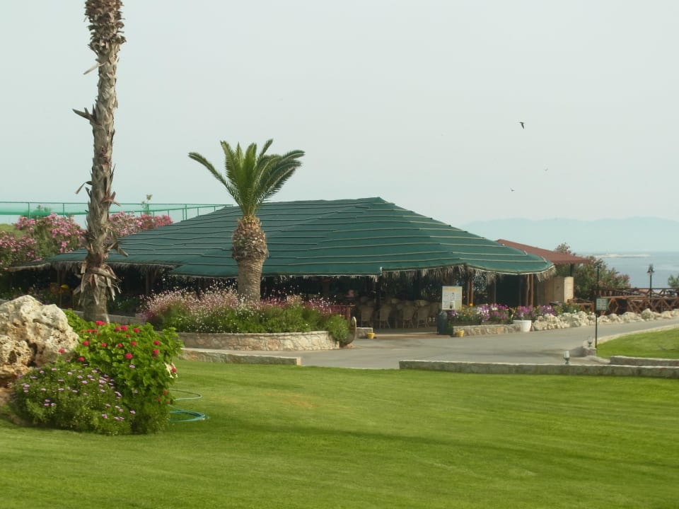 Safari Cafe Hotel Kalithea Horizon Royal