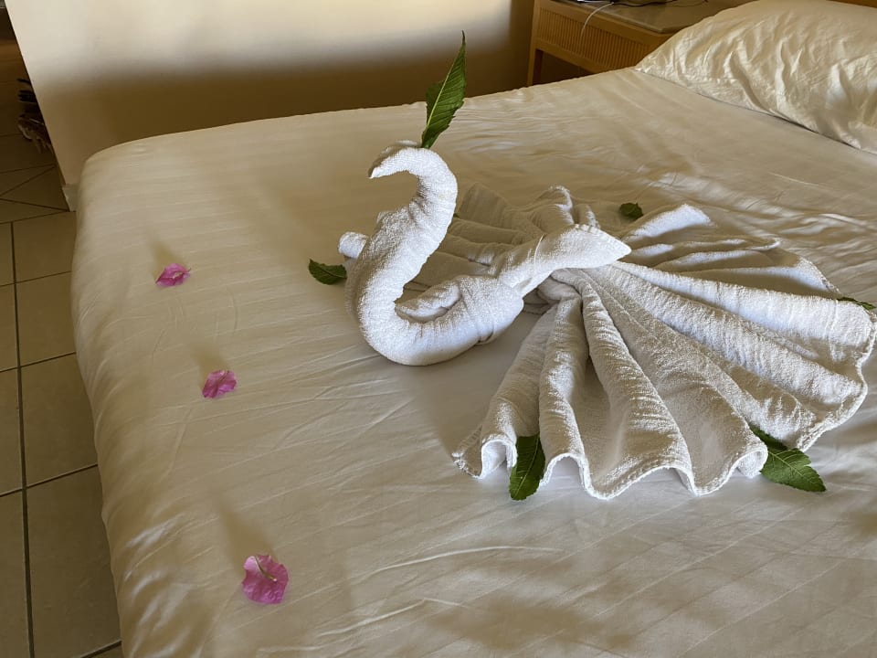 Zimmer Hotel JAZ Makadi Star & Spa