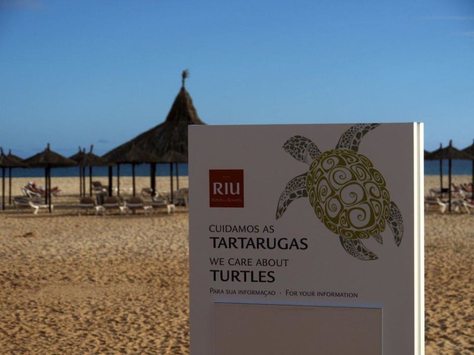 Turtles Hotel Riu Touareg
