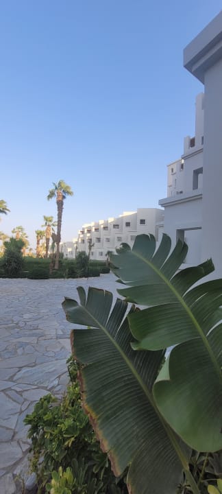 Gartenanlage Serry Beach Resort